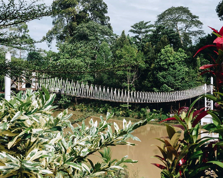 Hutan Kota Langsa Hutan Kota Langsa